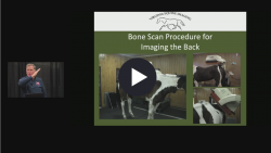 thumbnail for AAEP 2025 Complimentary Lectures